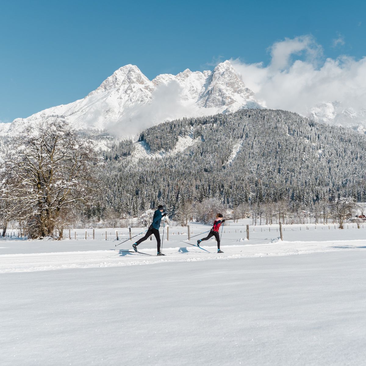 Langlaufen in Saalfelden Leogang